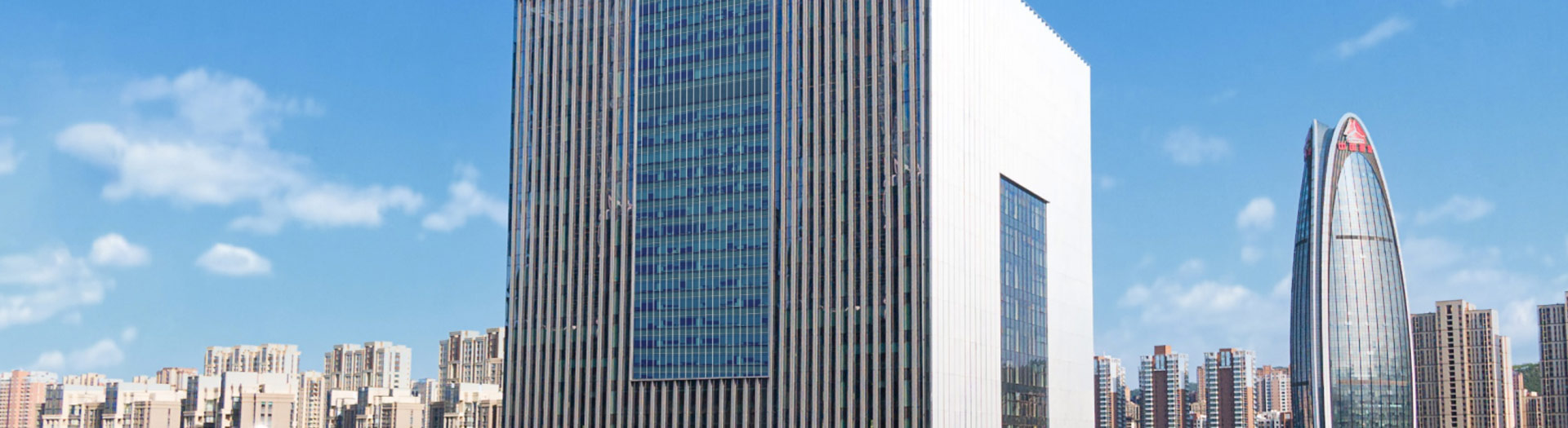 js4399金沙线(集团)有限公司简介